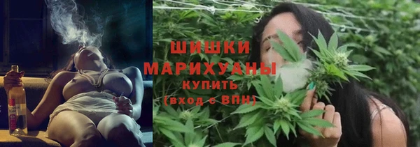 мдпв Магас