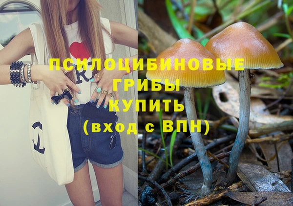 мдпв Магас