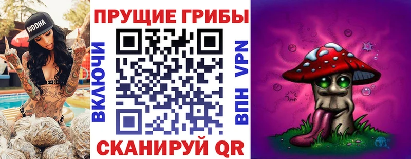 Галлюциногенные грибы MAGIC MUSHROOMS  Купить  Зеленодольск 